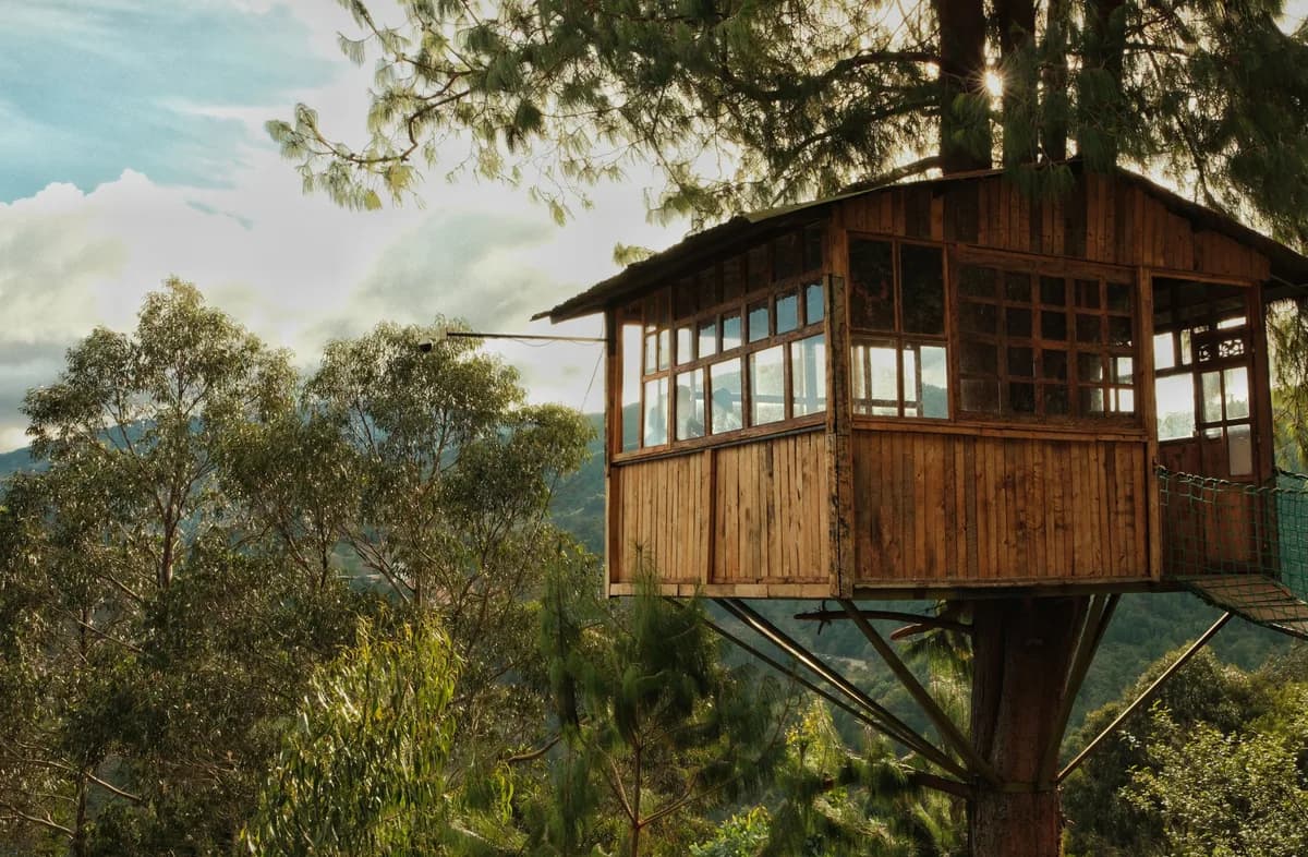 Imagen de ejemplo de BookNoFees: casa de madera en un árbol con un ventanal en la copa