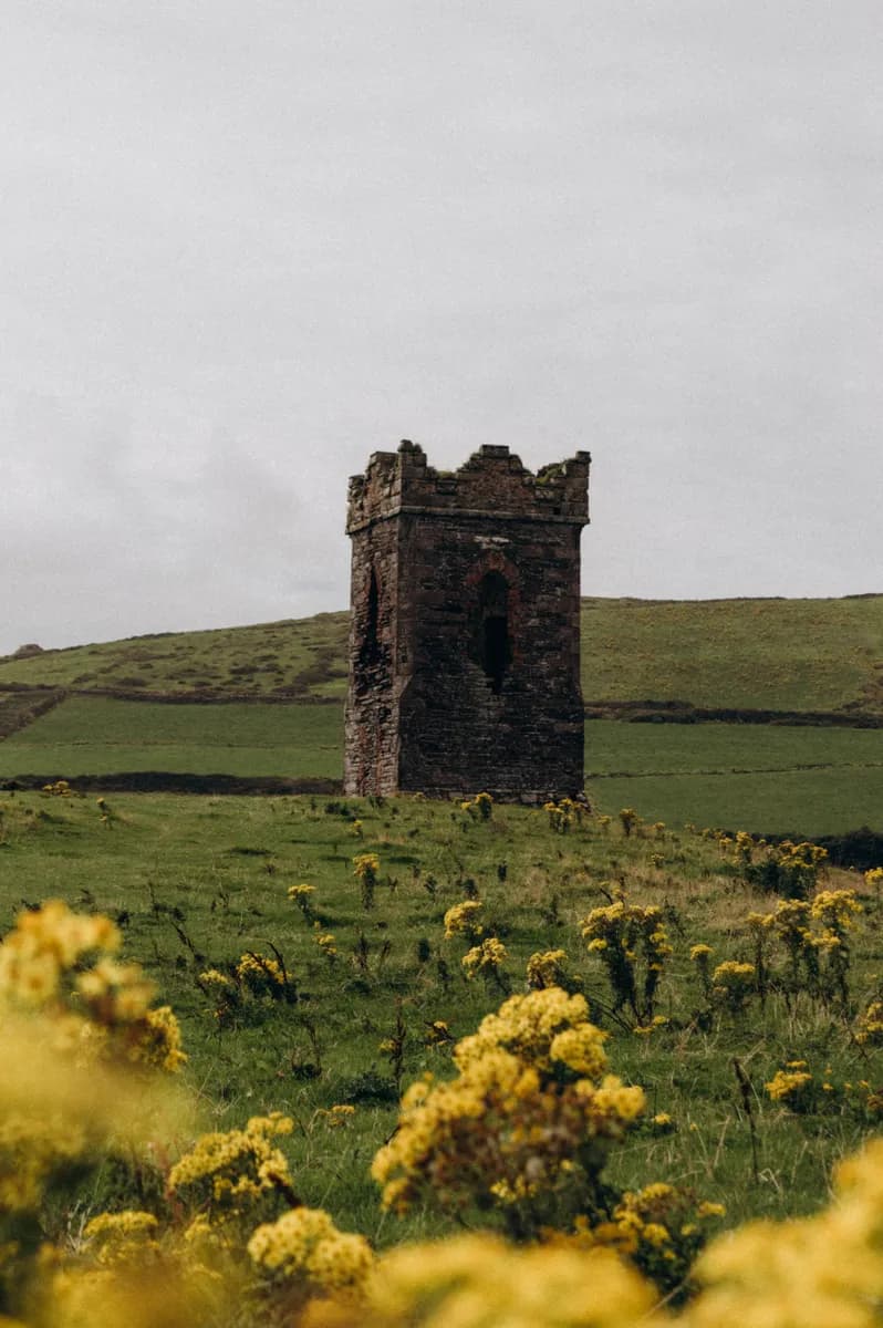 Imagen de ejemplo de BookNoFees: Pequeña torre histórica de piedra en un prado lleno de flores
