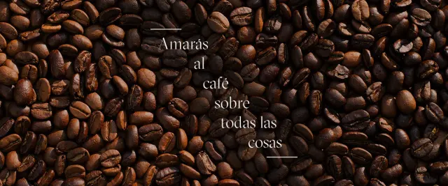 BookNoFees: Cafetería – Religion - Specialty coffee – Madrid – Religión - Café de especialidad, foto 3