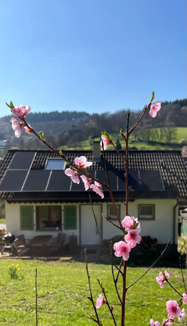 BookNoFees: alojamiento vacacional en Allemühl – Casa de vacaciones Allemühl: ¡una casa solo para ustedes!