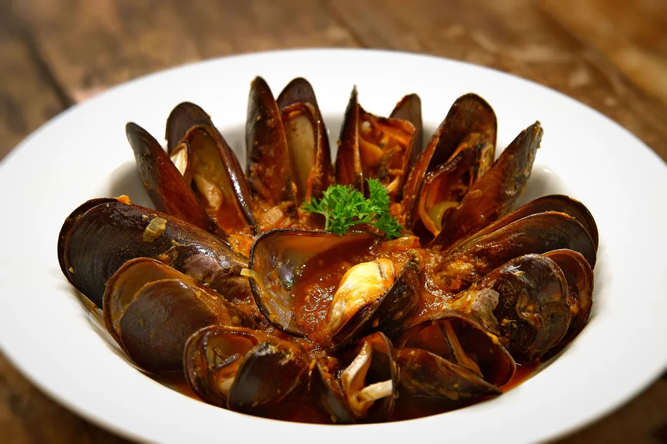 BookNoFees: Foto de ejemplo: Mejillones cocidos servidos en un plato hondo