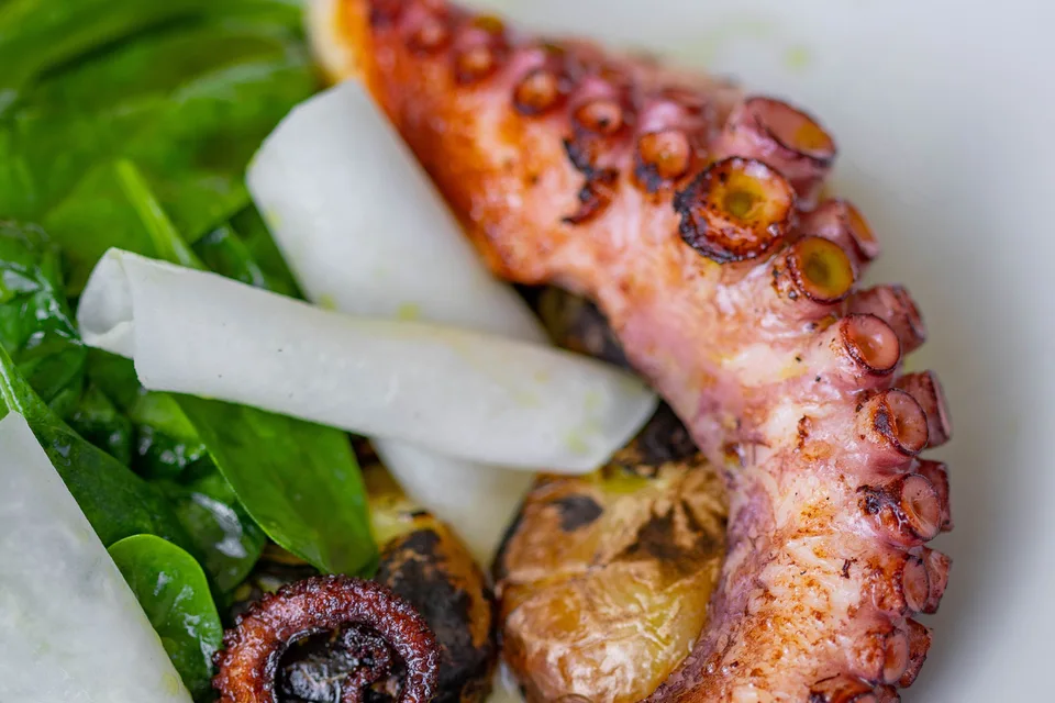 BookNoFees: Foto de ejemplo: Pulpo a la parrilla